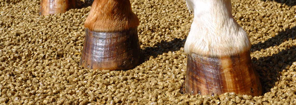 Pferdeeinstreu Biolan