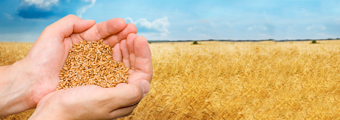 RWZ Agrarerzeugnisse