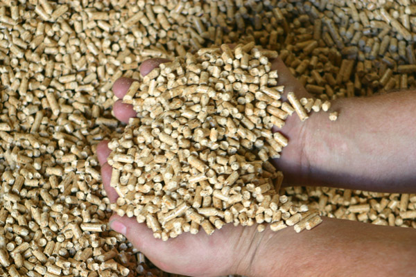 RWZ Holzpellets