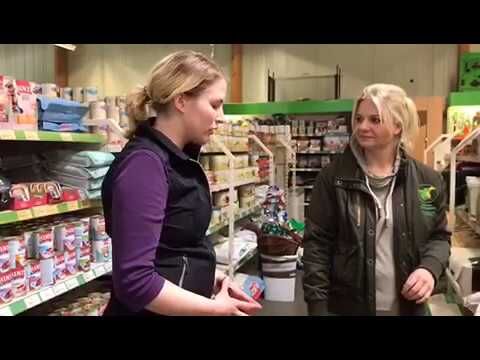 Futterberatung: Leberprobleme beim Pferd