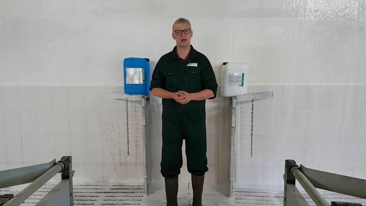 Stallreinigung mit Schaum